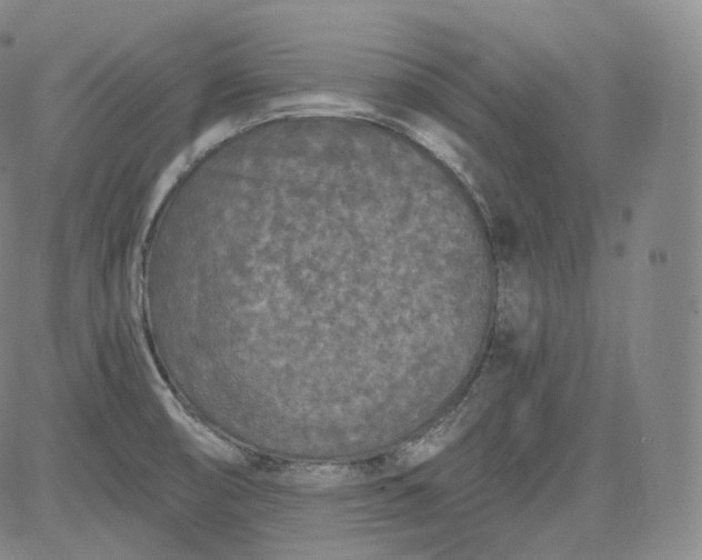 X0000084041474200703022136