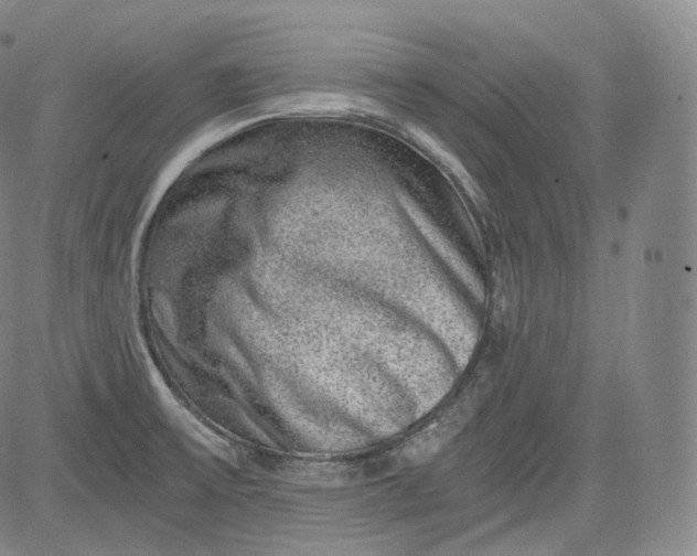 X0000084041475200703022136