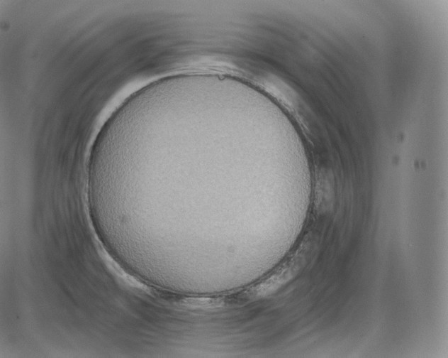 X0000084041478200703022136