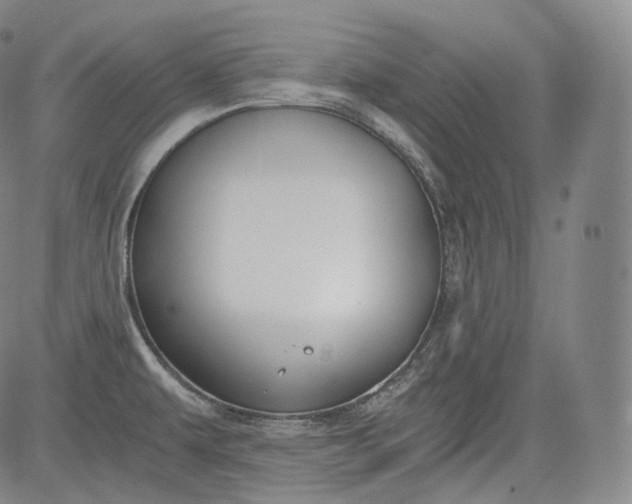 X0000084041479200703022136