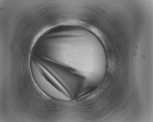 X0000084041480200703022136