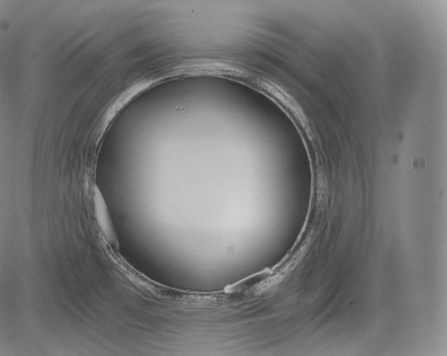 X0000084041481200703022136