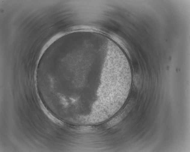 X0000084041482200703022136