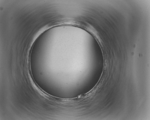 X0000084041483200703022136