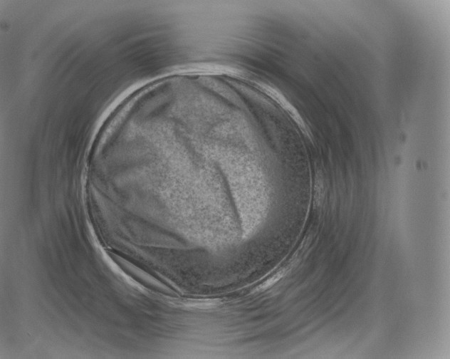 X0000084041484200703022136