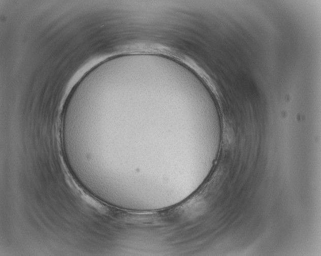 X0000084041486200703022136