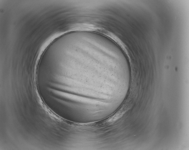 X0000084041488200703022136