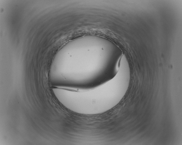 X0000084041489200703022135