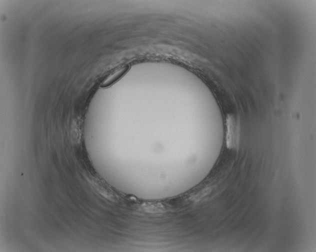 X0000084041491200703022135