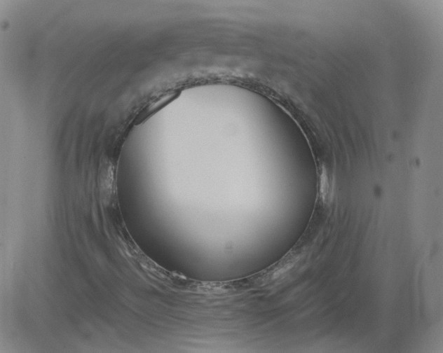 X0000084041492200703022135