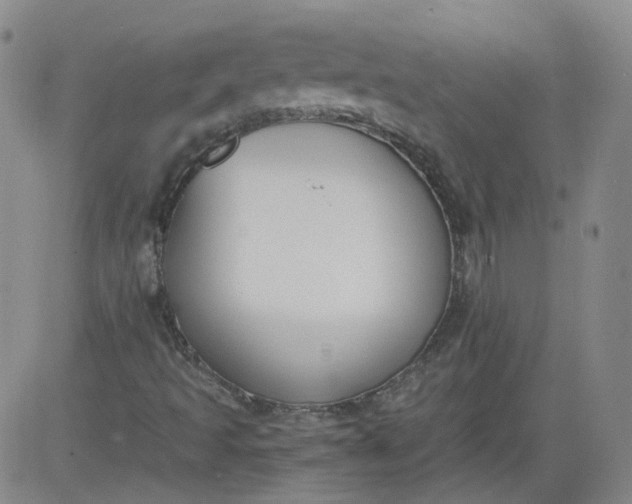 X0000084041493200703022135