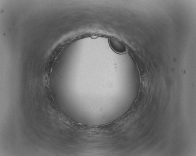 X0000084041495200703022135