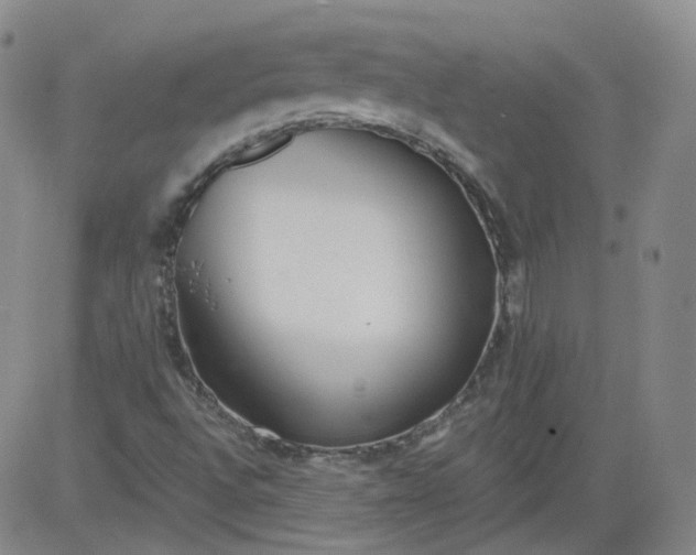 X0000084041496200703022135