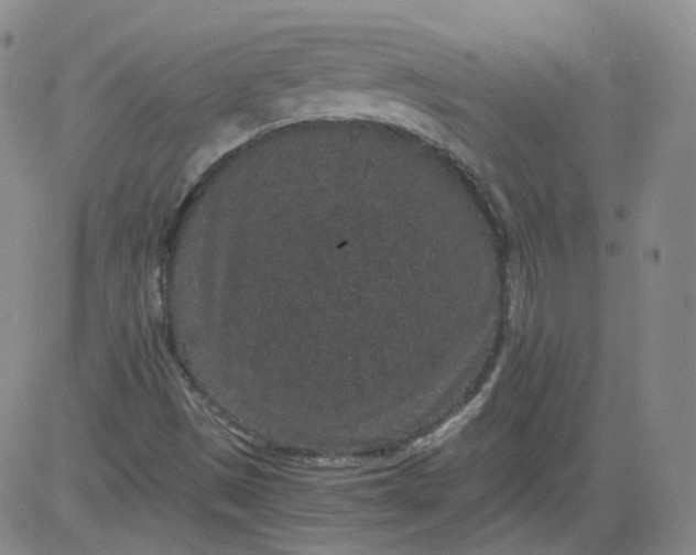 X0000084041497200703022135