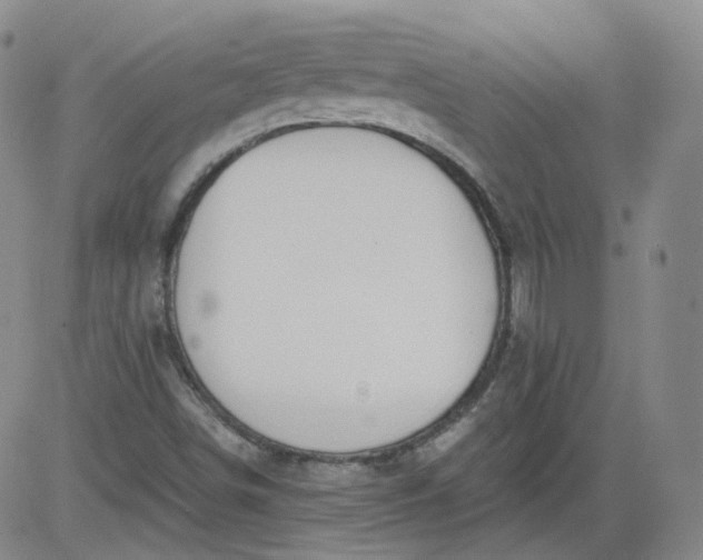 X0000084041498200703022135