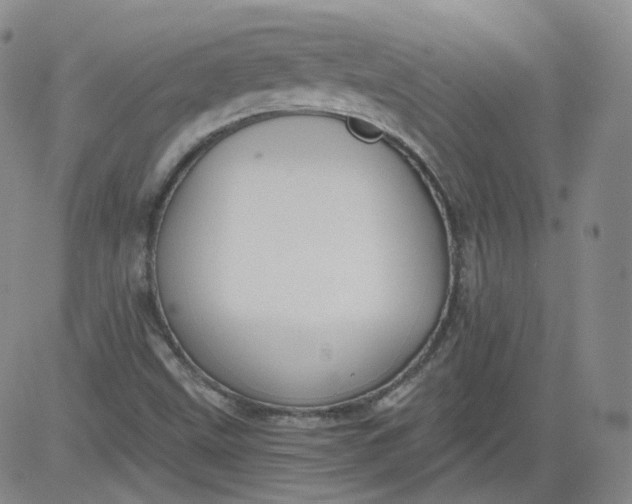 X0000084041499200703022135