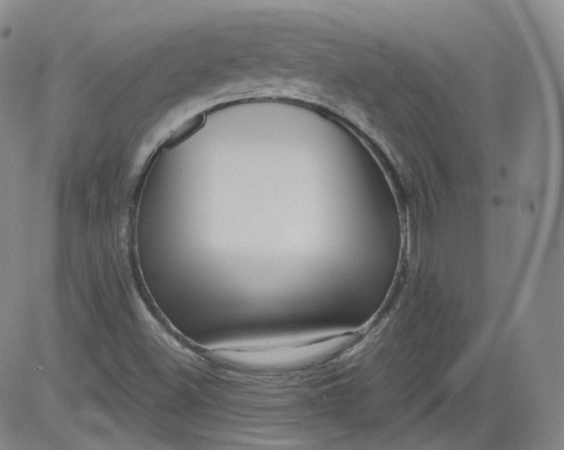 X0000084041500200703022135