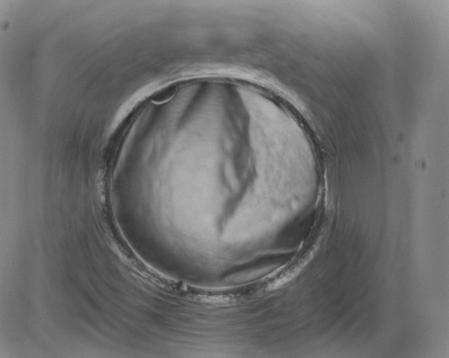 X0000084041501200703022135