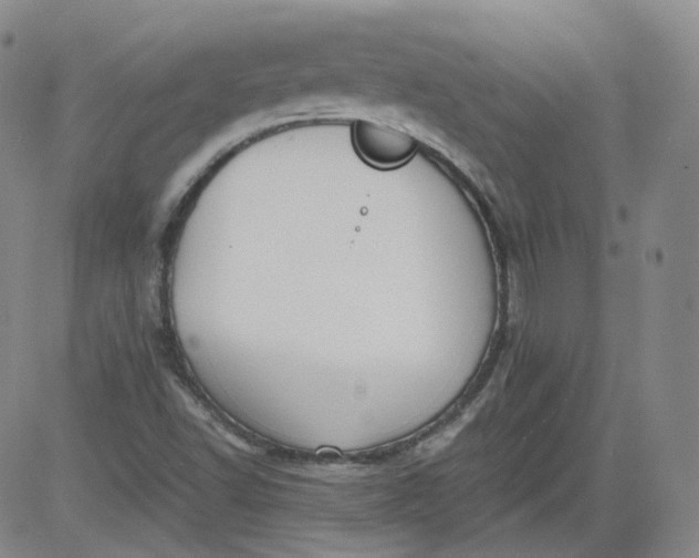 X0000084041502200703022135