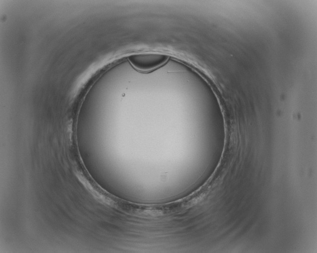 X0000084041503200703022135