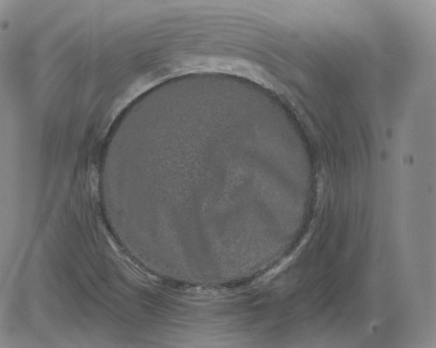 X0000084041505200703022135