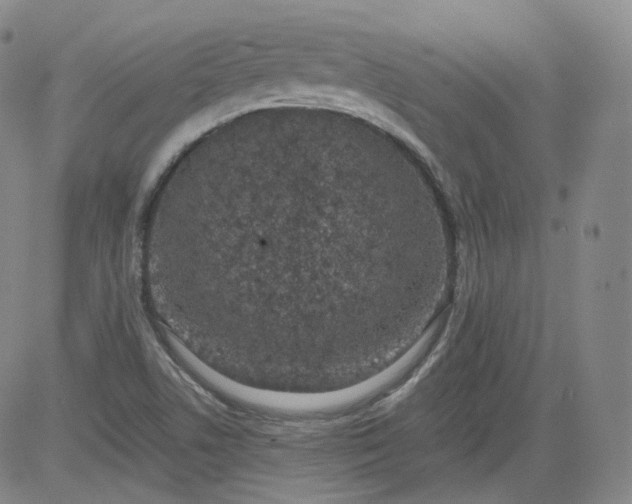 X0000084041506200703022135