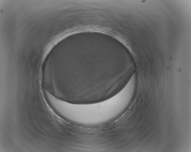 X0000084041508200703022135