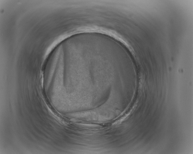 X0000084041509200703022135