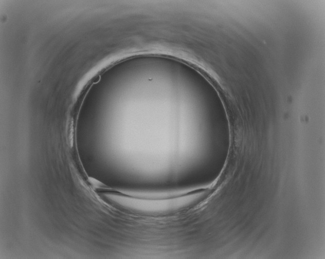 X0000084041510200703022135