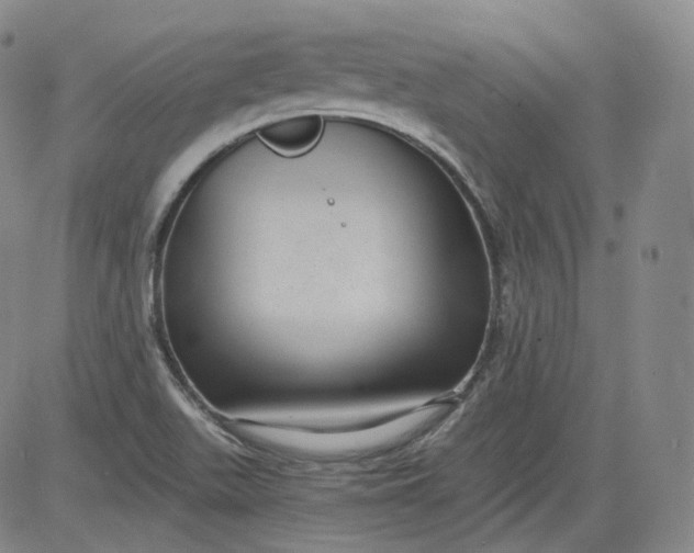 X0000084041511200703022135