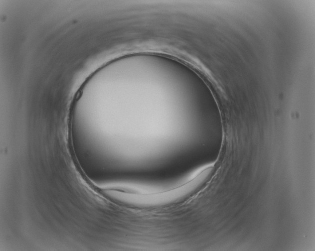 X0000084041512200703022135