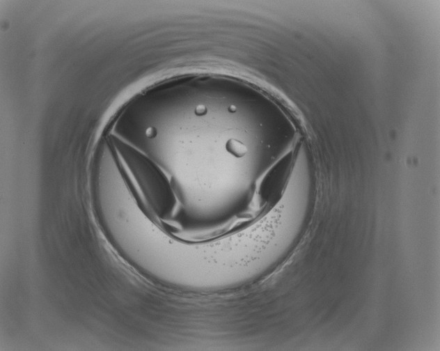 X0000084041514200703022135