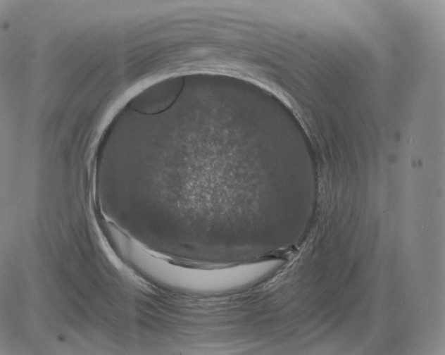 X0000084041515200703022135