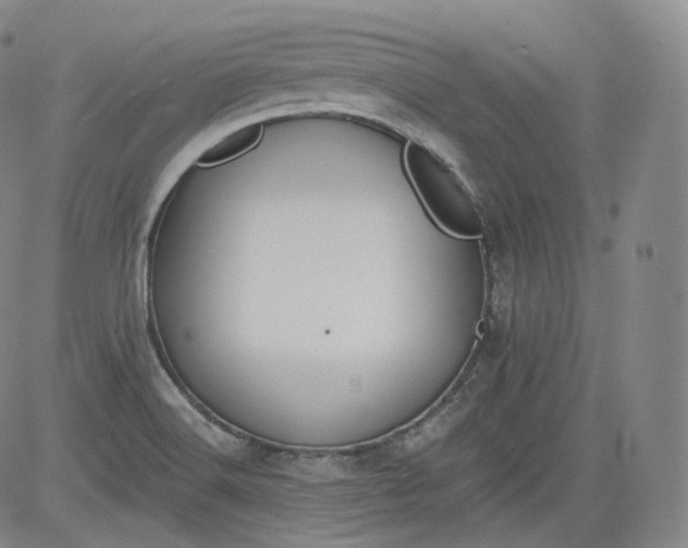 X0000084041516200703022135