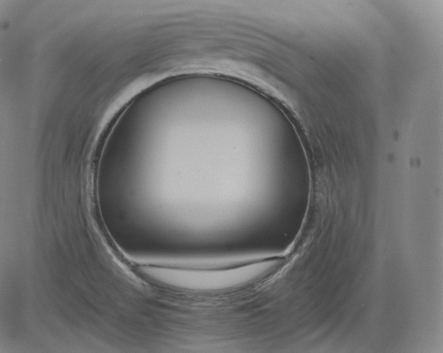 X0000084041517200703022136