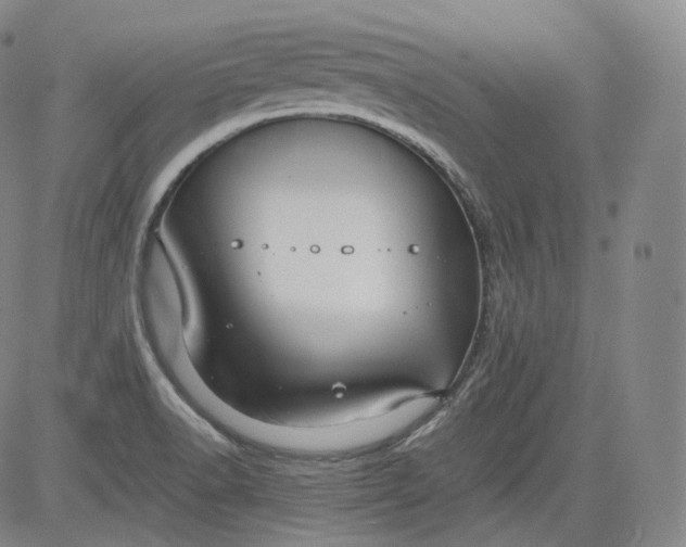 X0000084041518200703022136