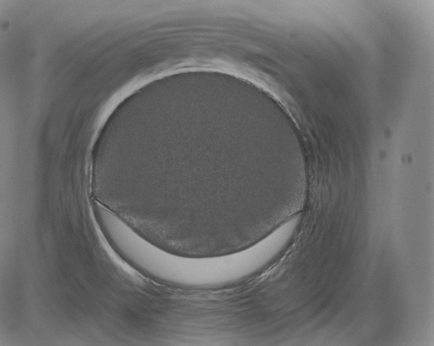 X0000084041519200703022136