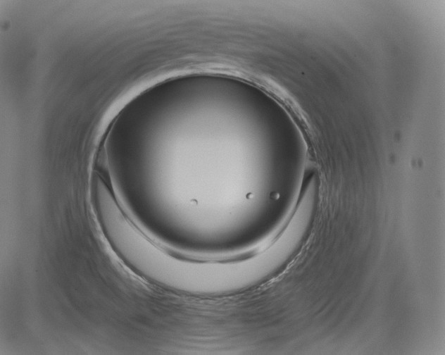 X0000084041520200703022136