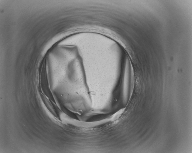 X0000084041523200703022136