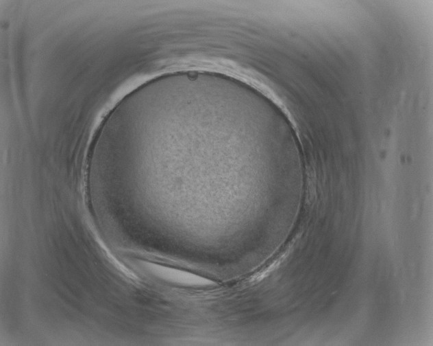 X0000084041525200703022136