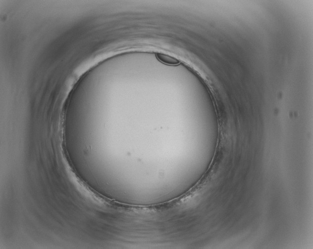 X0000084041526200703022136