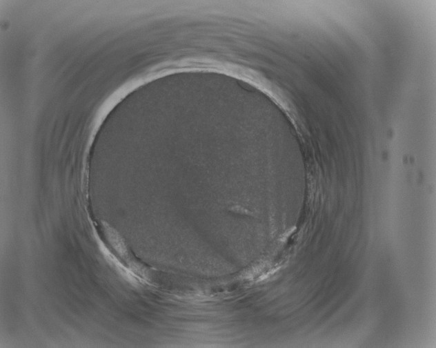 X0000084041527200703022136