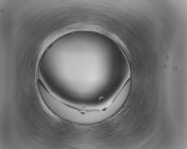 X0000084041528200703022136