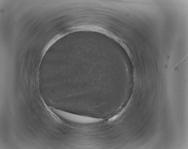 X0000084041529200703022136