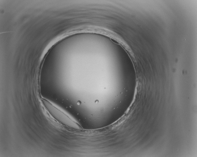 X0000084041530200703022136