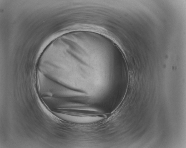 X0000084041531200703022136