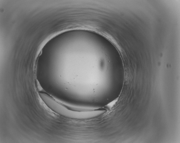 X0000084041532200703022136