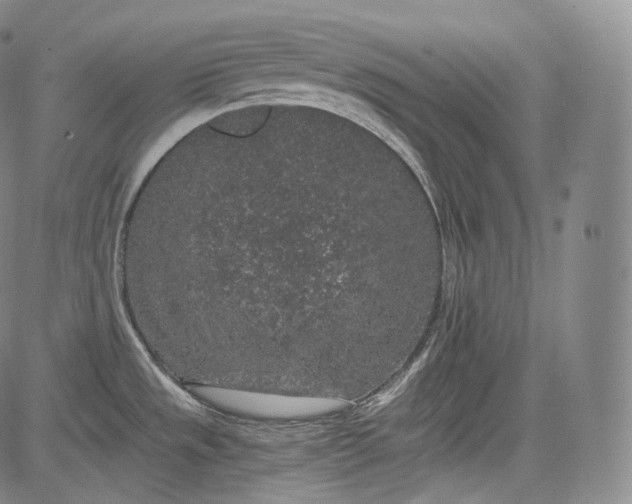 X0000084041533200703022136