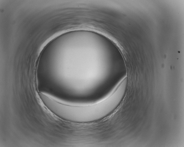 X0000084041534200703022136