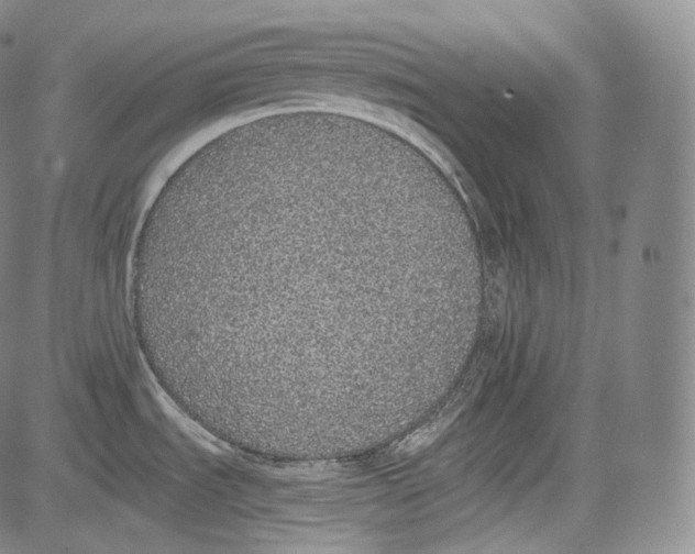 X0000084041535200703022136